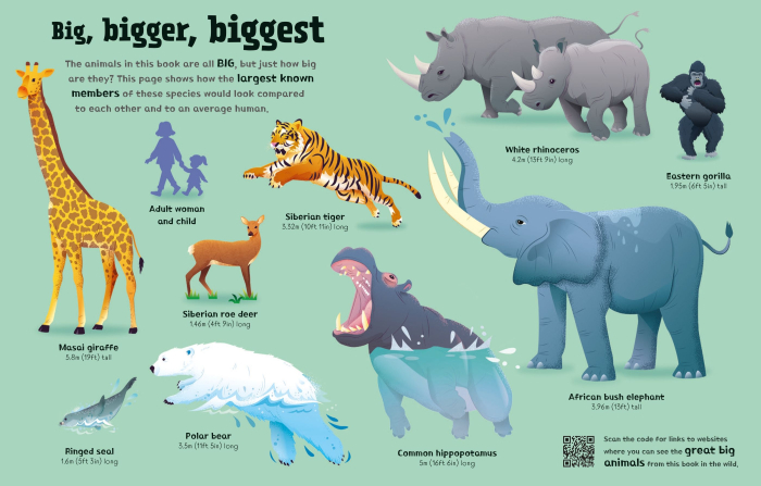 Carte copii Usborne Great Big Animals cu clapete mari – carte interactiva educativ copii [6]