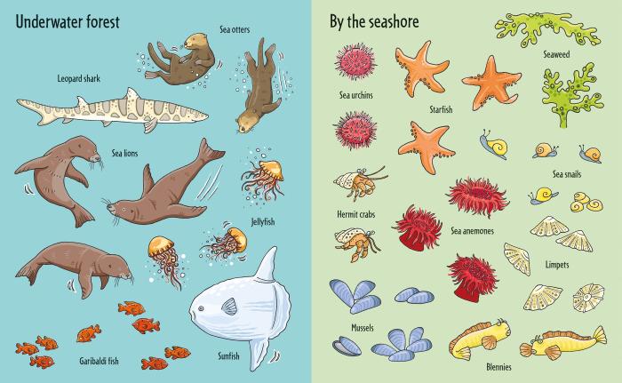 First Sticker Book Under the Sea [4]