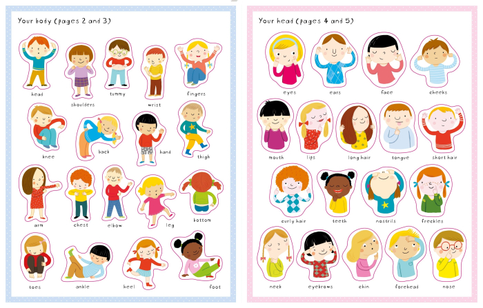 First Sticker Book Your Body [5]