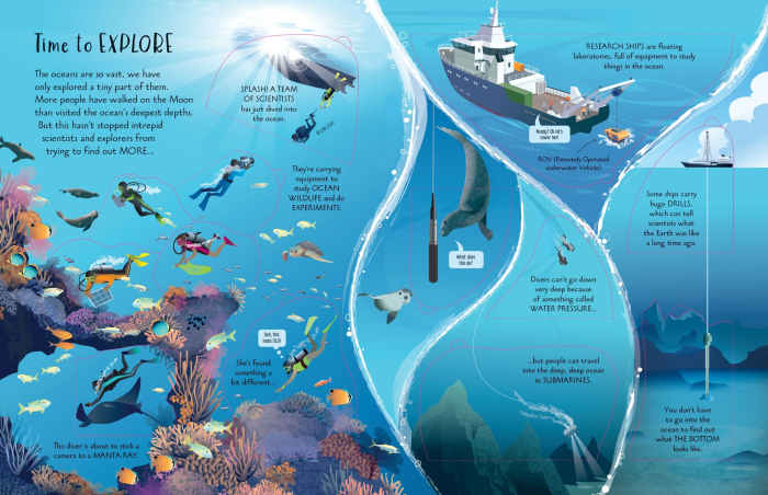 See Inside Oceans Usborne – Carte cu Clapete despre Oceane și Animale Marine pentru Copii, Limba Engleză, 6+ ani [2]