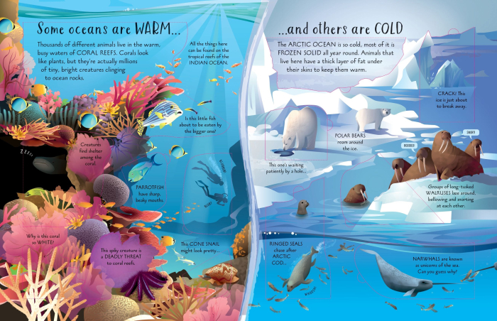 See Inside Oceans Usborne – Carte cu Clapete despre Oceane și Animale Marine pentru Copii, Limba Engleză, 6+ ani [4]