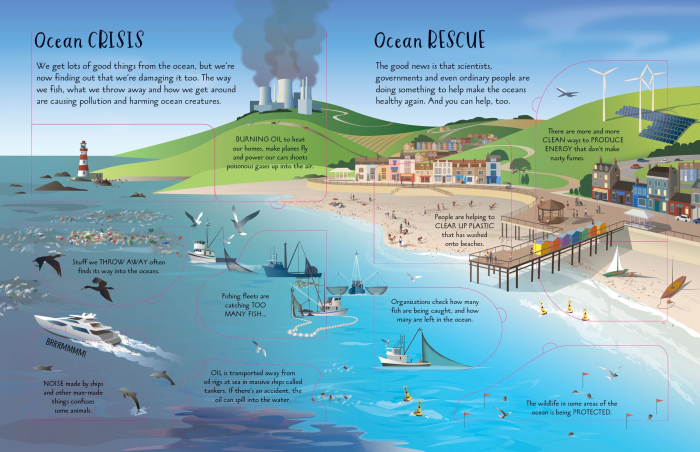 See Inside Oceans Usborne – Carte cu Clapete despre Oceane și Animale Marine pentru Copii, Limba Engleză, 6+ ani [3]