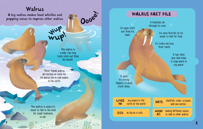 Slot-together Sea Creatures Book [2]