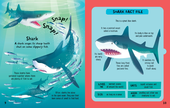 Slot-together Sea Creatures Book [3]