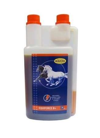 EQUIFORCE Vitamine Cai sportivi - EQUIFORCE B Liquid 1l Havens