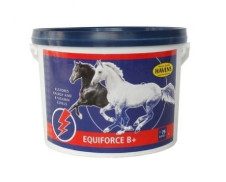 EQUIFORCE Vitamine Cai sportivi - EQUIFORCE B+ pudra 1kg Havens