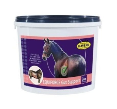EQUIFORCE Vitamine Cai sportivi - EQUIFORCE Gut Support 1kg Havens