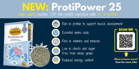PROTI - POWER 25 Havens 20kg [3]