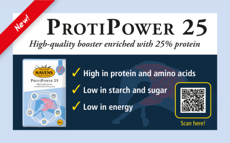 PROTI - POWER 25 Havens 20kg [2]