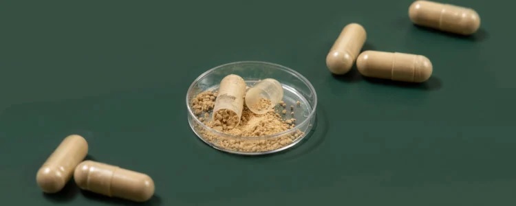 Istoria suplimentelor sportive – de la alimente traditionale la produse moderne și sport curat