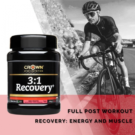 3:1 Recovery + Chocolate, Crown Sport Nutrition, 750 g (15 porții) [2]