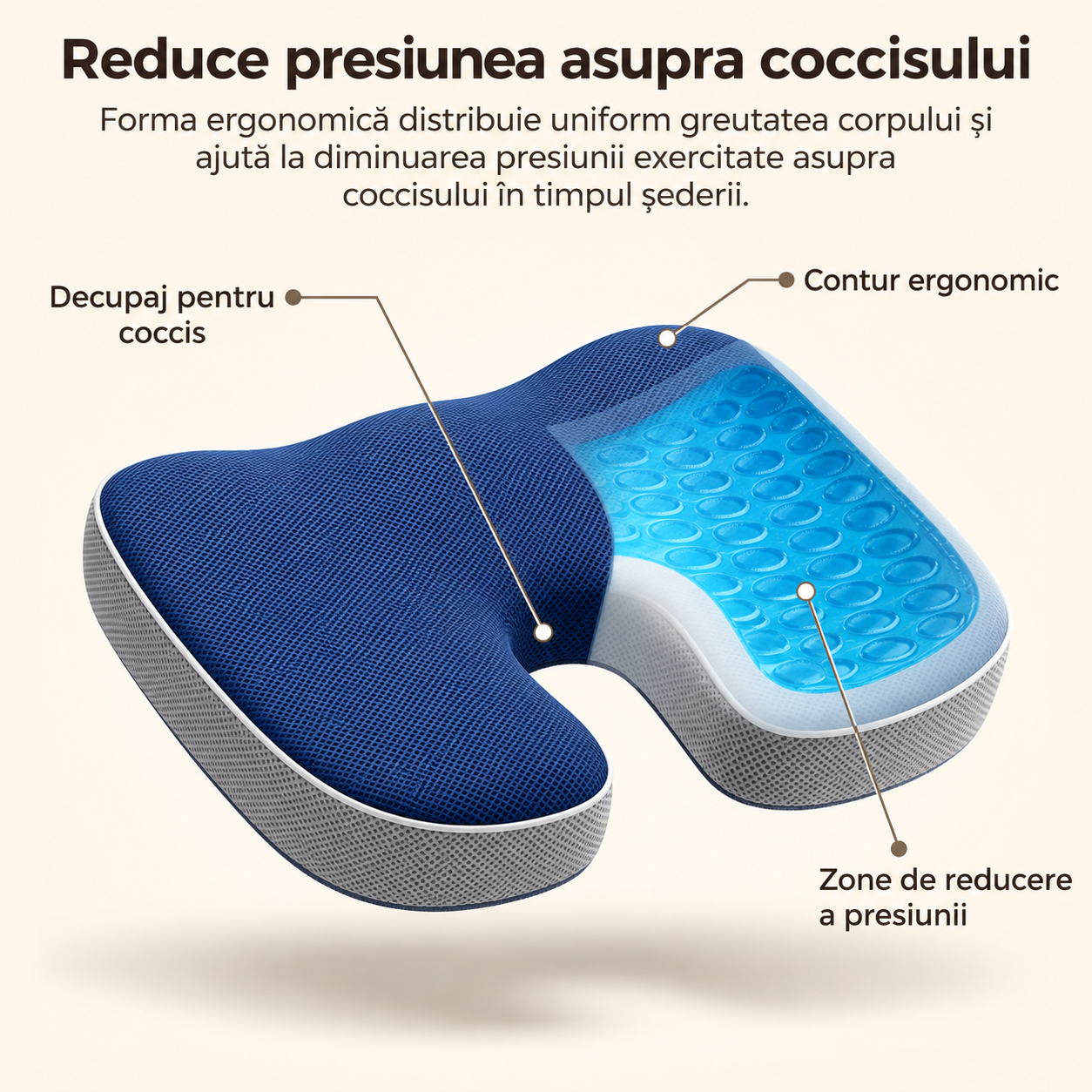 Distribuția contactului pe perna ortopedică BMP1383