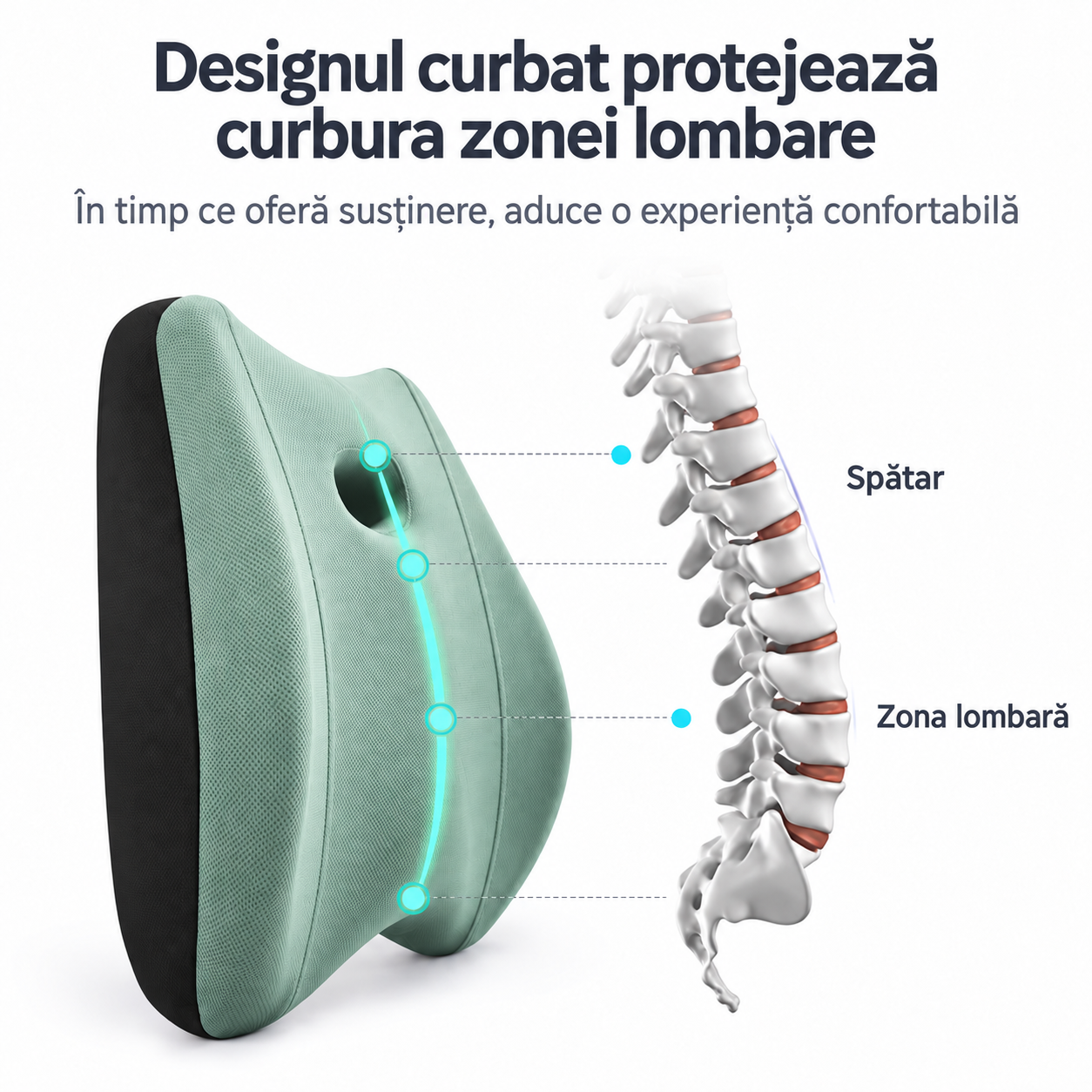 Design curbat al suportului lombar HG ProLine și relația cu curbura lombară