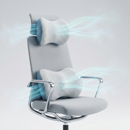 Set ergonomic lombar + cervical [1]