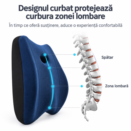 Set ergonomic cu suport lombar si perna cervicala pentru confort zilnic [4]