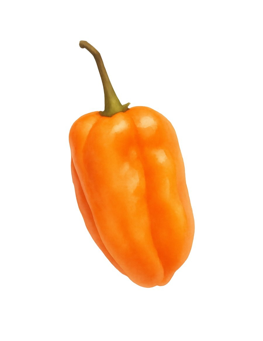 Habanero: Iuțeală, Origine și Utilizare Culinară