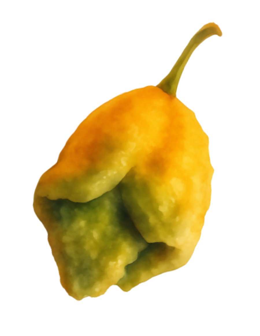Pepper X: Iuțeală, Origine și Utilizare Culinară