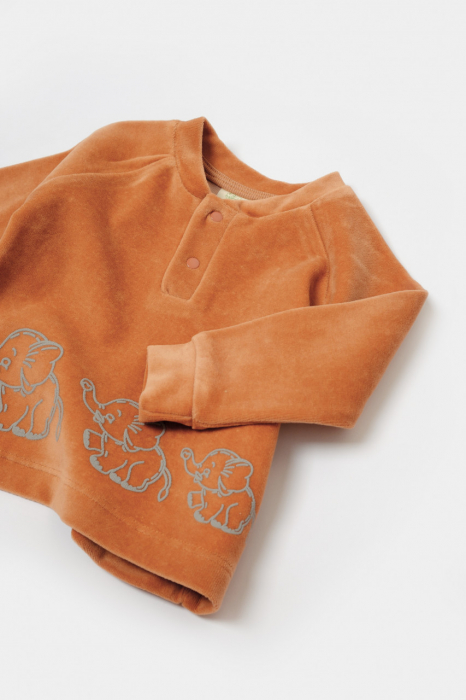 Set bluzita si pantaloni elefant, 80%bumbac organic si 20% poliester - caramiziu, babycosy - imagine produs HeiBebe.ro [6]