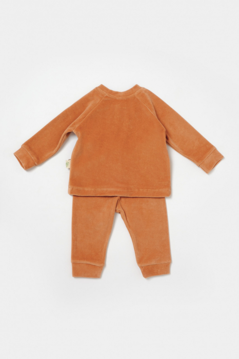 Set bluzita si pantaloni elefant, 80%bumbac organic si 20% poliester - caramiziu, babycosy - imagine produs HeiBebe.ro [3]