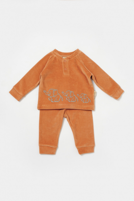 Set bluzita si pantaloni elefant, 80%bumbac organic si 20% poliester - caramiziu, babycosy - imagine produs HeiBebe.ro [2]