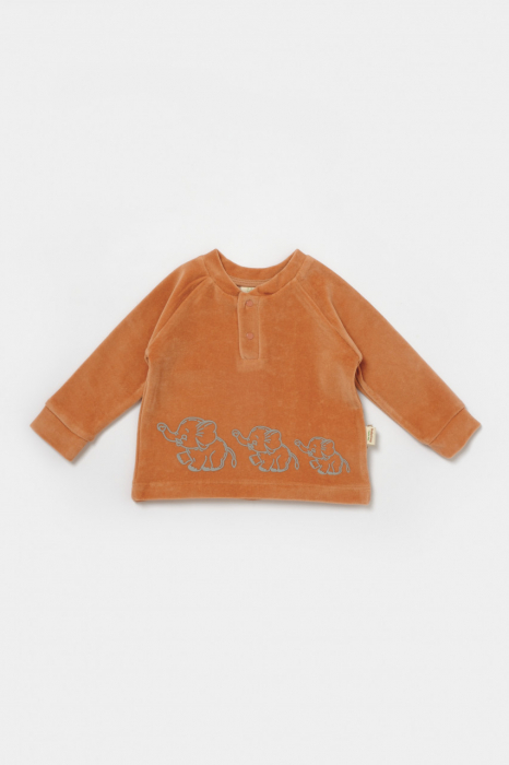 Set bluzita si pantaloni elefant, 80%bumbac organic si 20% poliester - caramiziu, babycosy - imagine produs HeiBebe.ro [4]