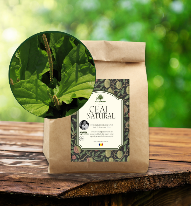 Patlagina Frunze, maruntita (herba concis) 100g [1]