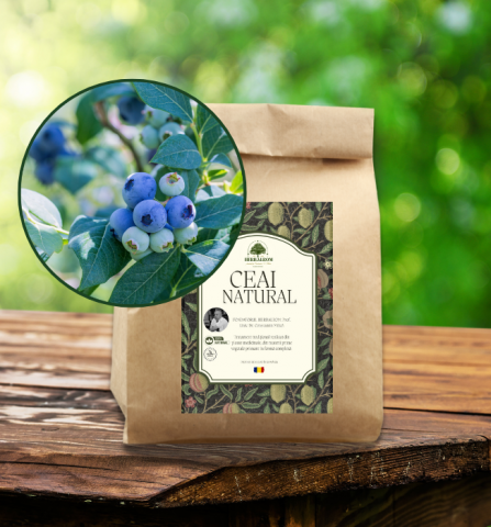 Plante Vrac - Afine Fructe Uscate 100g