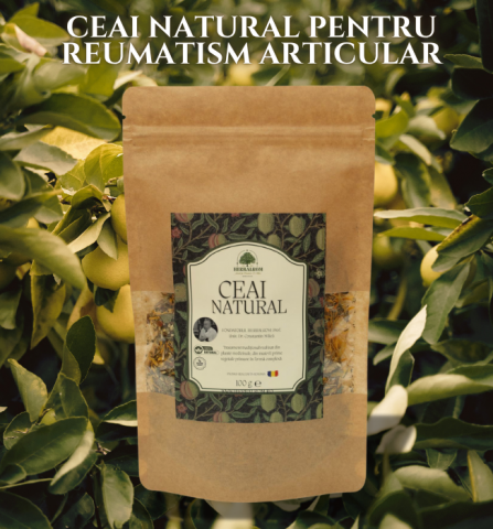 Ceai Natural pentru Reumatism Articular 100g