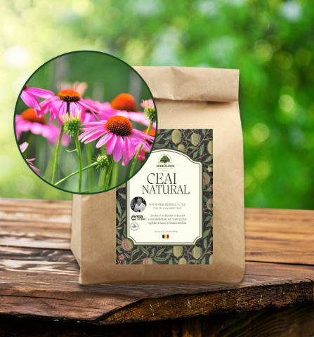 Plante Vrac - Echinaceea, maruntita (herba concis) 100g