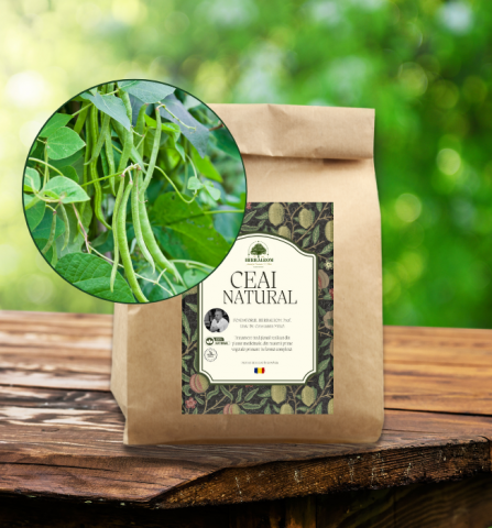 Plante Vrac - Teci de Fasole Pulbere 100g