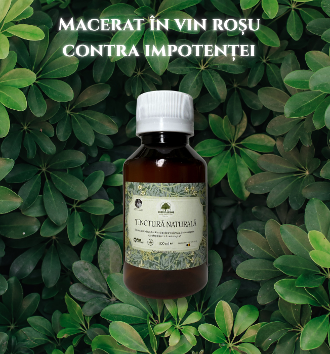 Macerat in Vin Rosu Contra Impotenta