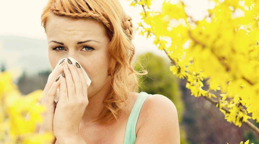 Amestecurile din plante au efecte bune in cazul alergiilor