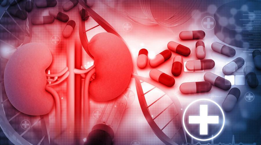 Inflamatiile si infectiile renale