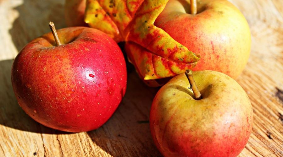 Marul, unul dintre cele mai valoroase alimente din natura