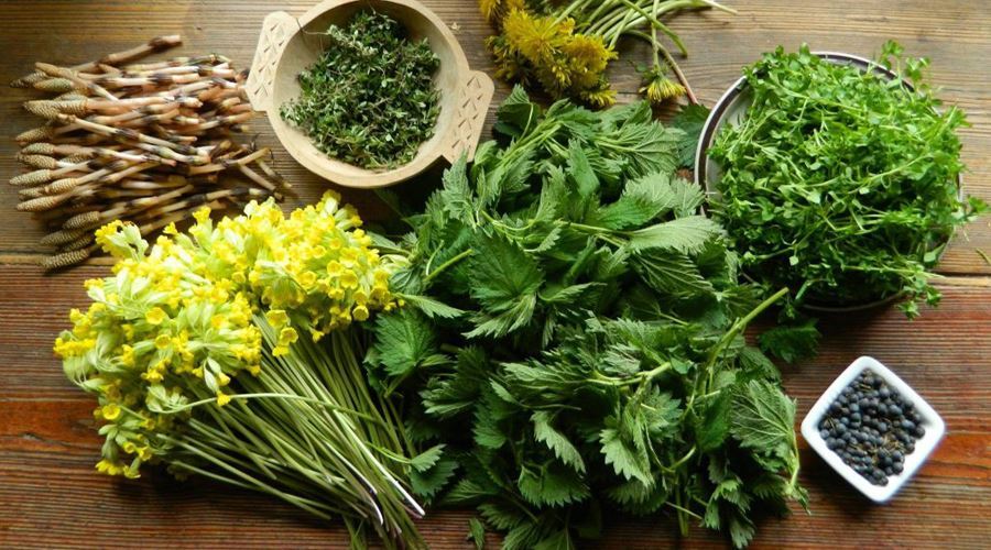 Plantele de mai, excelent remediu pentru bolile inimii