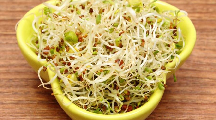 Sucurile de legume si graul germinat combat astenia