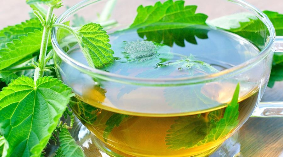 Vinul tonic de urzica vie trateaza anemia la adulti