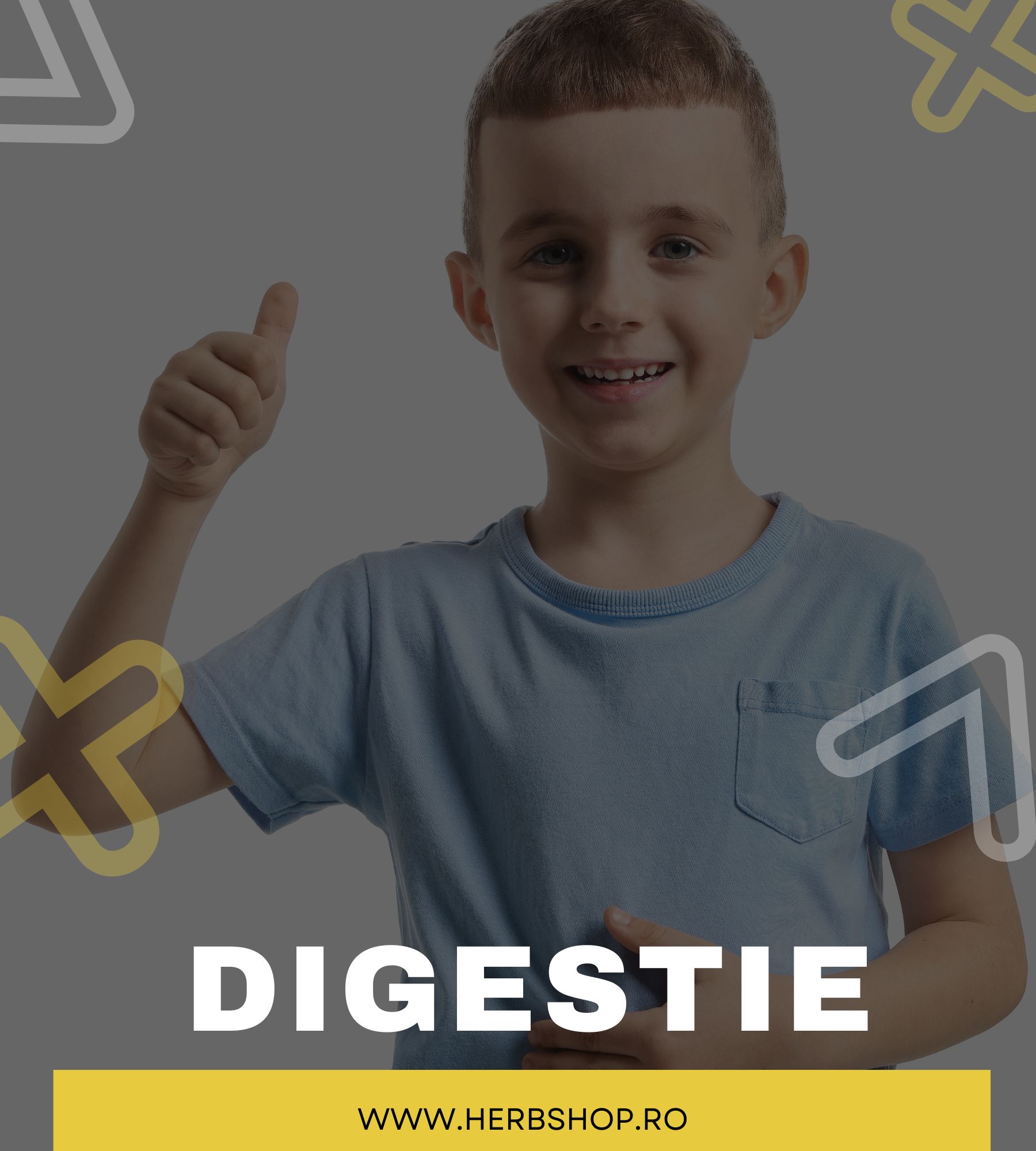 Digestie