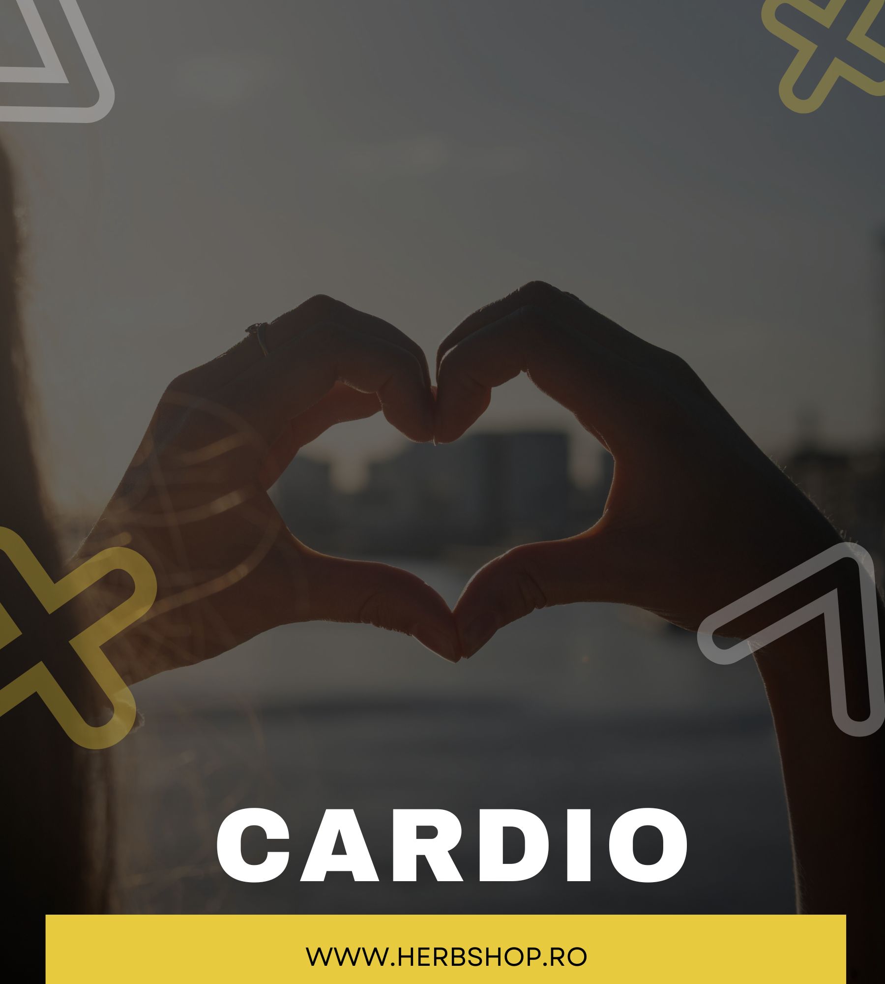 Cardio