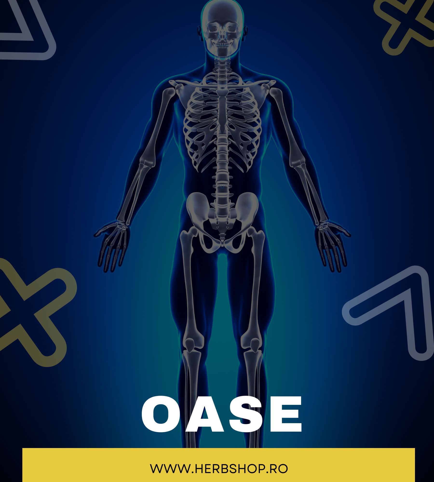 Oase
