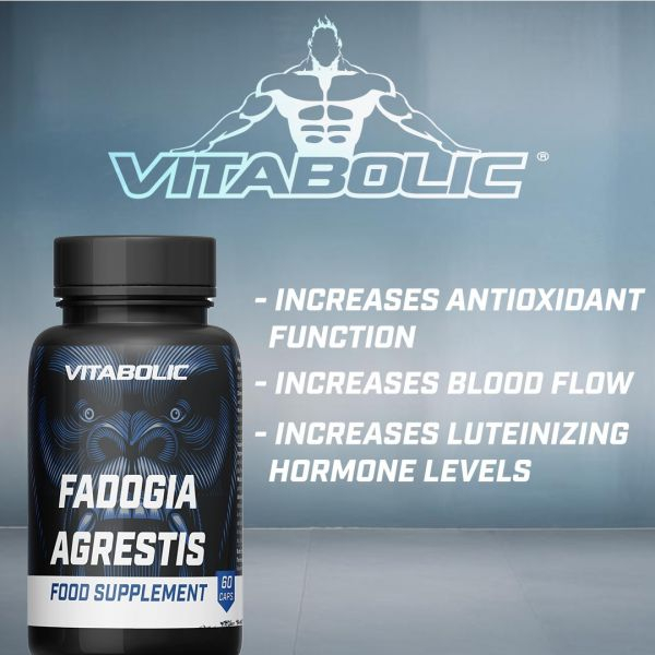 Vitabolic Fadogia Agrestis 60 capsule | Supliment stimulator hormonal natural pentru bărbați [2]