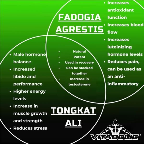 Vitabolic Fadogia Agrestis 60 capsule | Supliment stimulator hormonal natural pentru bărbați [3]