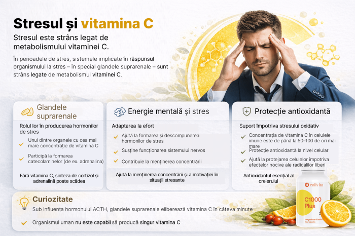 C 1000 Plus CaliVita 30 Tablete | Vitamina C Prelungită [3]