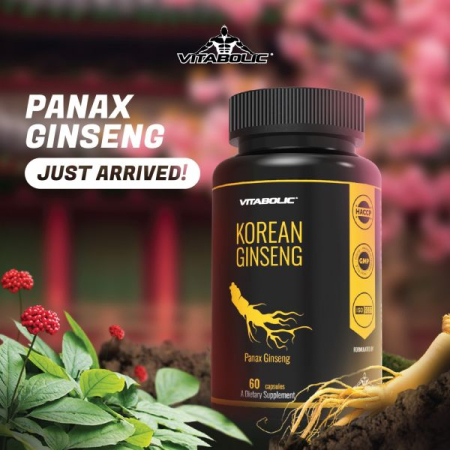 Korean Ginseng Panax Ginseng Vitabolic – 100 capsule extract natural pentru energie, vitalitate și adaptogen [1]