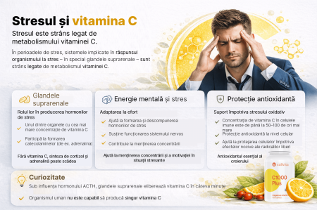 C 1000 Plus CaliVita 30 Tablete | Vitamina C Prelungită [2]