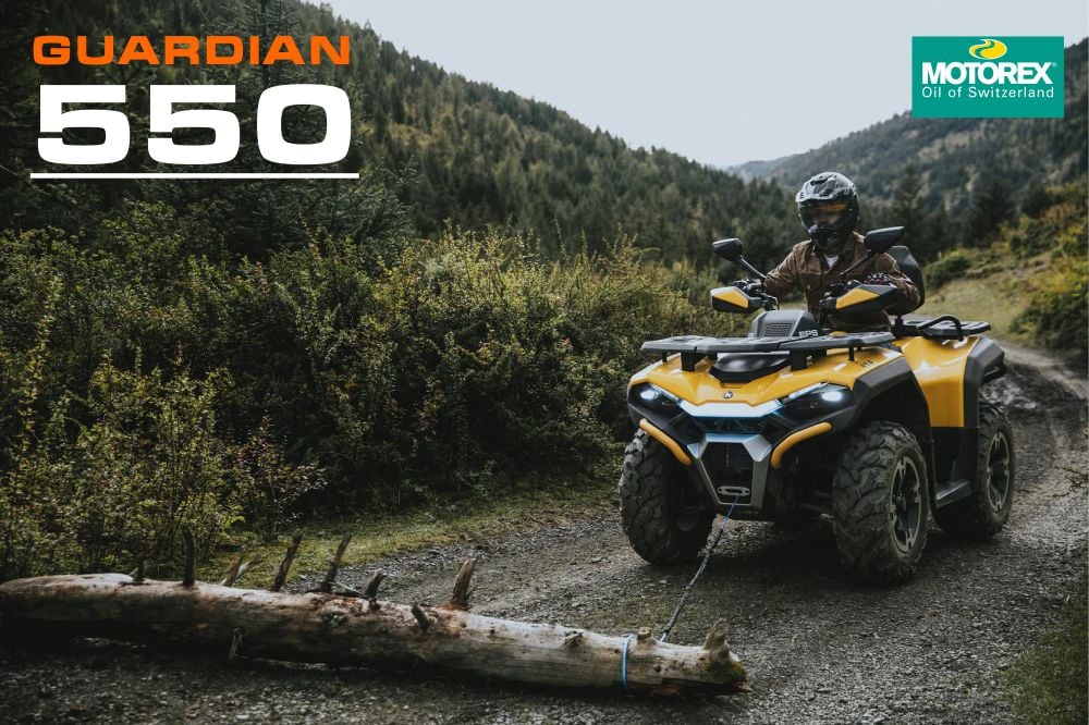 Homepage: Bannere Principale 8