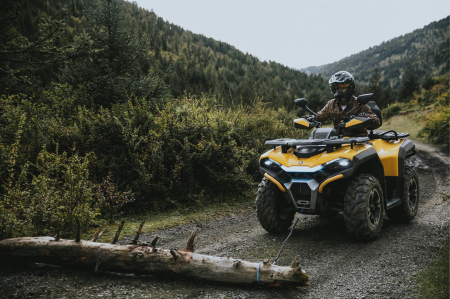 Guardian 750 EFI 4x4 - SPORT [6]