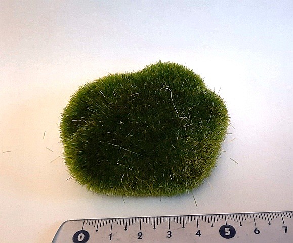 Muschi artificial decor- casute papusi diorame [1]