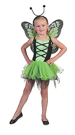 COSTUME FETE ROCHITE FUSTE - Costum fluture verde