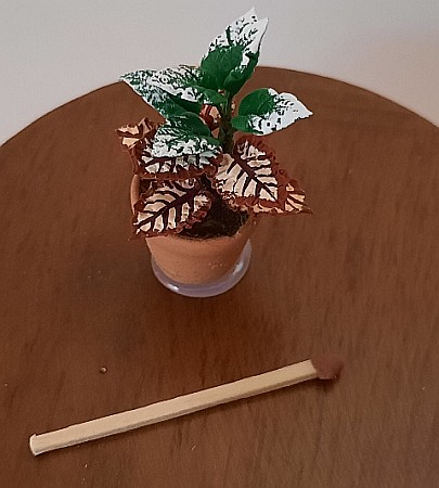 GRADINA - mobilier, decoratiuni si accesorii miniaturi papusi - Planta exotica in ghiveci ceramica-miniatura papusi 1:12